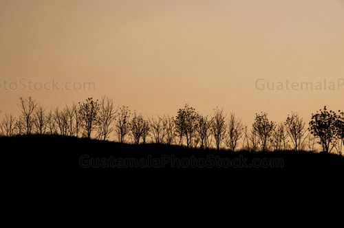 Sol al atardecer