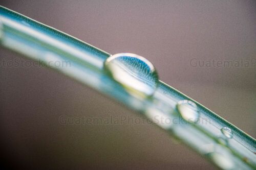 Macro fotografia