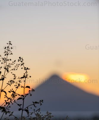 Naturaleza y Volcán de Agua