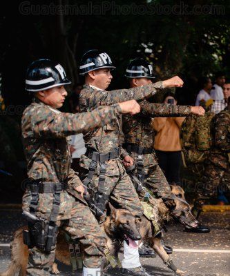 Desfile militar 2025
