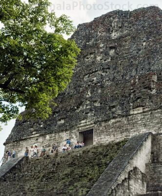 Cresteria del Templo V Parque Nacional Tikal