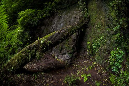 Nacimiento de agua en el Sendero del Alto