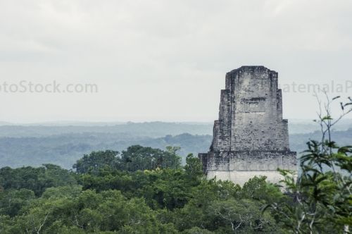 Cresteria del Templo III, Del Gran Sacerdote, Tikal