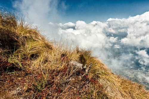 Paisaje desde el Volcán de Agua