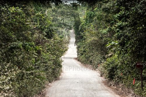 Carretera de la Franja Transversal del Norte