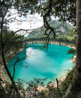 Cenote de Laguna Brava