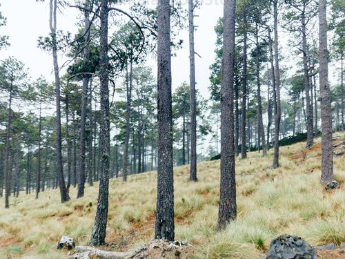 Sierra de los Cuchumatanes