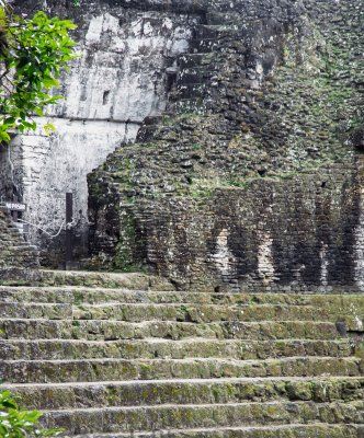 Graderío en Templo de Tikal