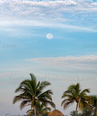 Amanecer en la costa sur