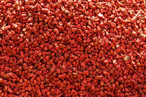 Semilla de achiote