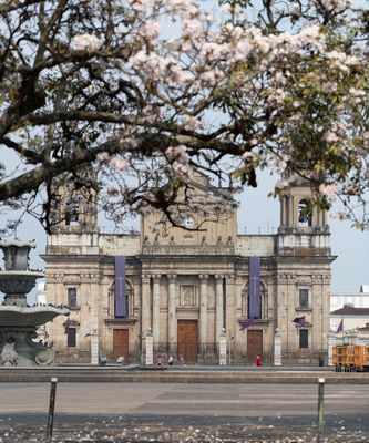 Catedral Metropolitana, Semana Santa 2020