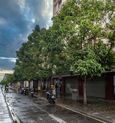 Sexta Avenida, Zona 1