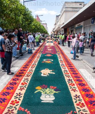 Parte de la alfombra de aserrín mas grande del mundo