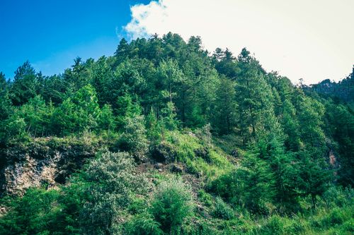 Montaña de Huehuetenango
