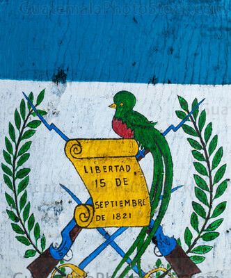 Escudo nacional pintado en una ceiba