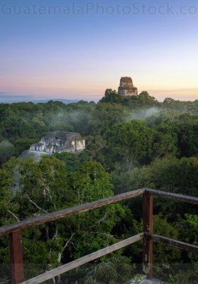 Jungla y templos en Tikal, Petén