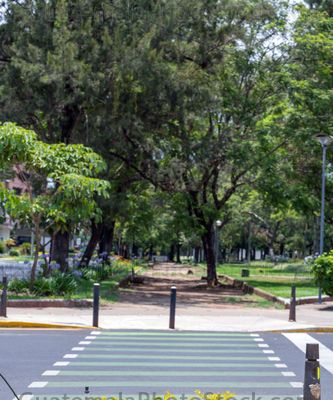 Avenida Las Americas, Zona 14