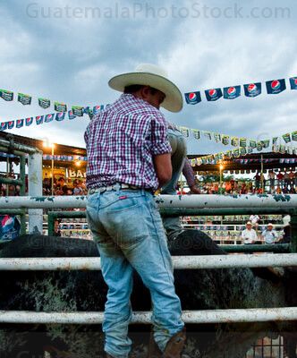 Vaquero